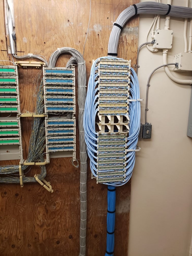Organized, labeled punch-down blocks after a Capilano Communications cleanup